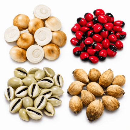 Mata Lakshmi Puja Kit with 11 Gomti Chakra, Red Gunja, Kaudi & Laghu Nariyal