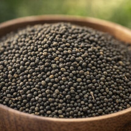 Kateri Beej (Kantakari Seeds) | Satyanasi ke Beej | Solanum Xanthocarpum Seeds | Natural Herb for Traditional Ayurvedic Preparations