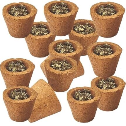 Hawan Cups (Havan, Sambrani, Dhoona, Dhoop Cups) - 12 Cups + Holder per Pack