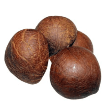 Dry Coconut