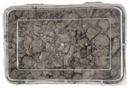 Ganga Mitti Natural Clay for Puja and Religious Rituals